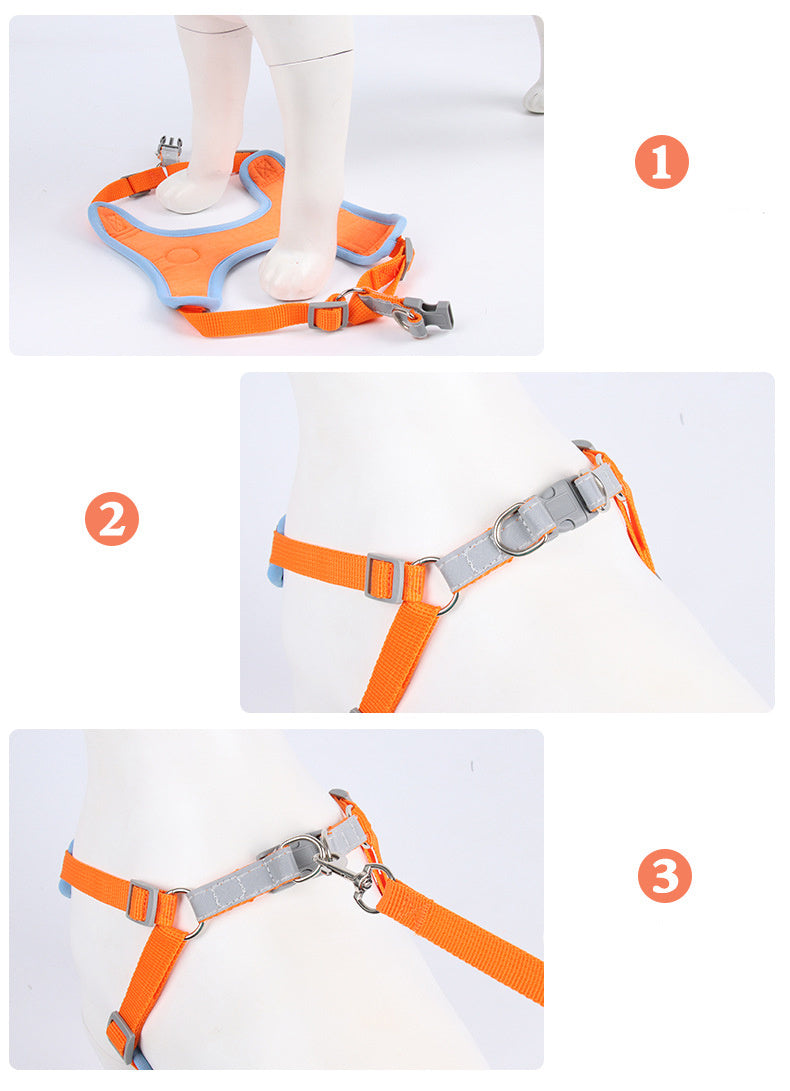 Small Dog / Cat Harness and Leash