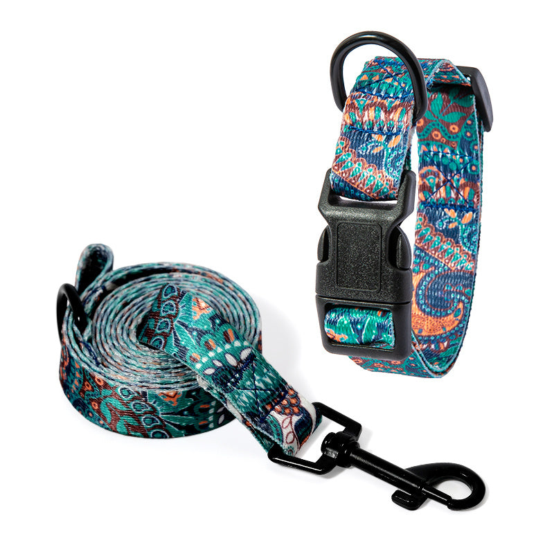 Vibrant Dog Collar and leash