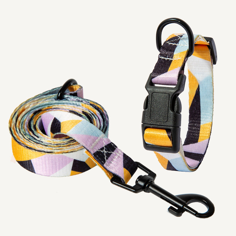 Vibrant Dog Collar and leash