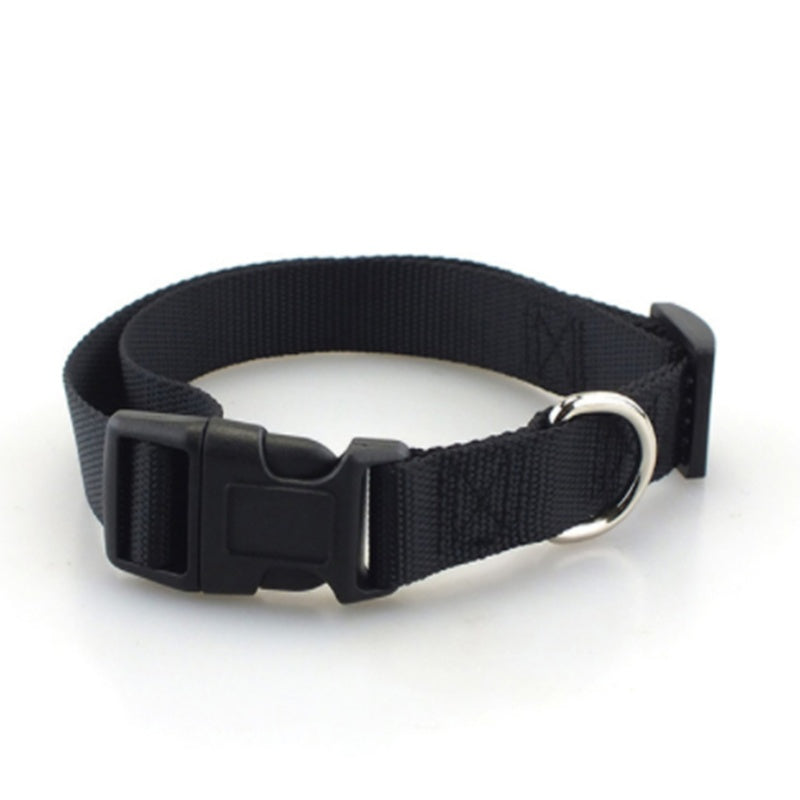 Plain Dog Collar