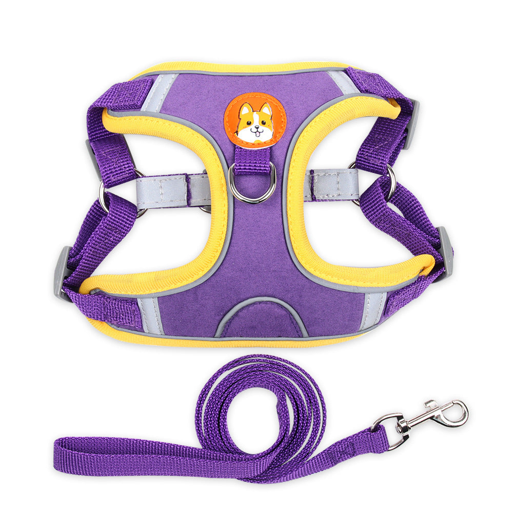 Small Dog / Cat Harness and Leash