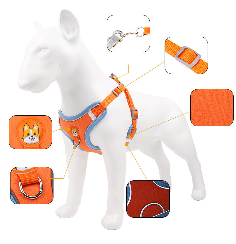 Small Dog / Cat Harness and Leash