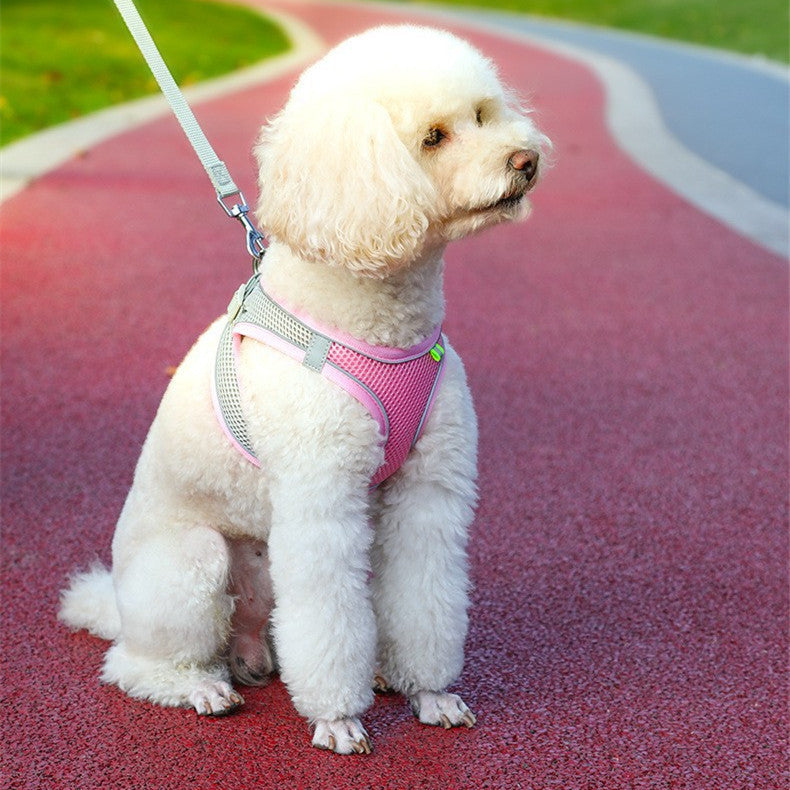 Reflective Dog Harness and leash