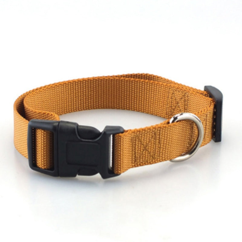 Plain Dog Collar