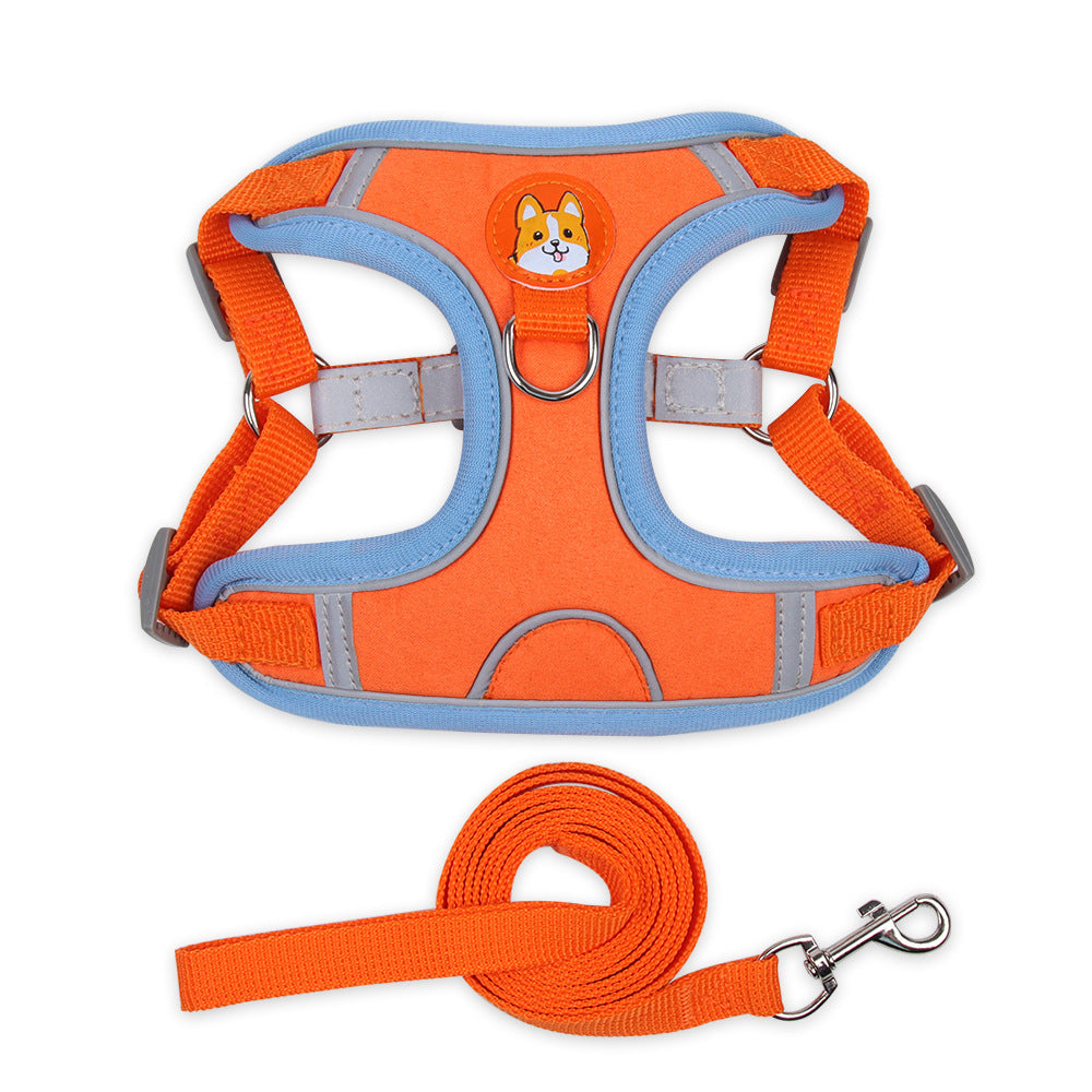Small Dog / Cat Harness and Leash