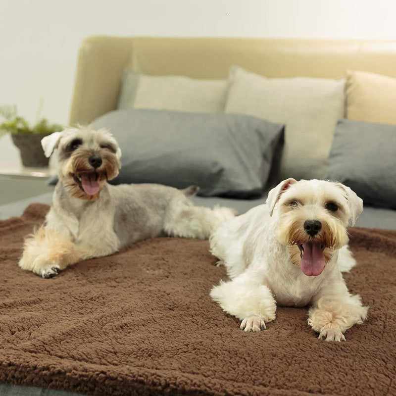Dog / Cat Blanket