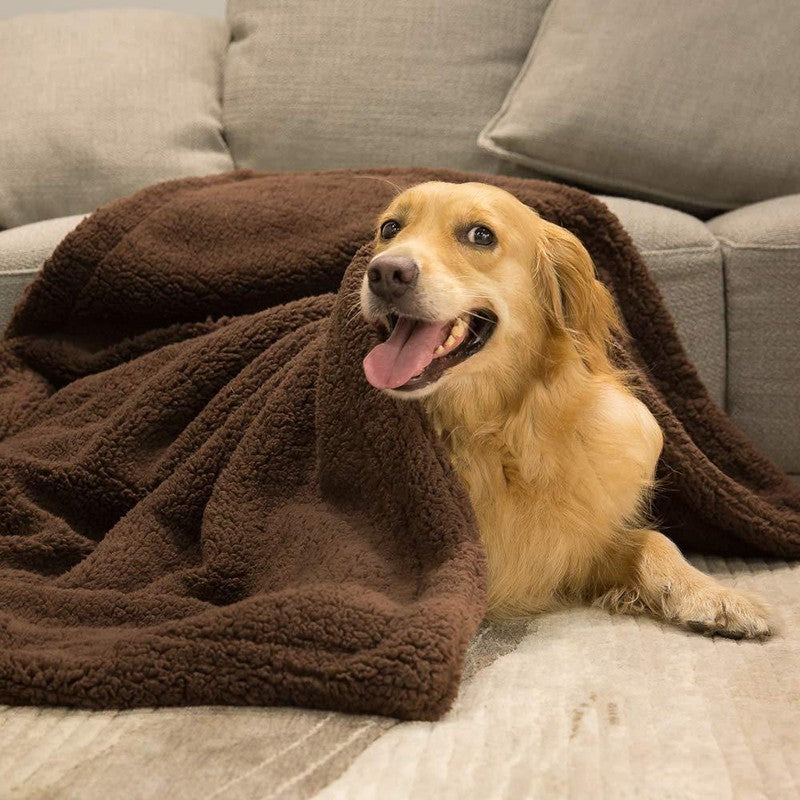 Dog / Cat Blanket