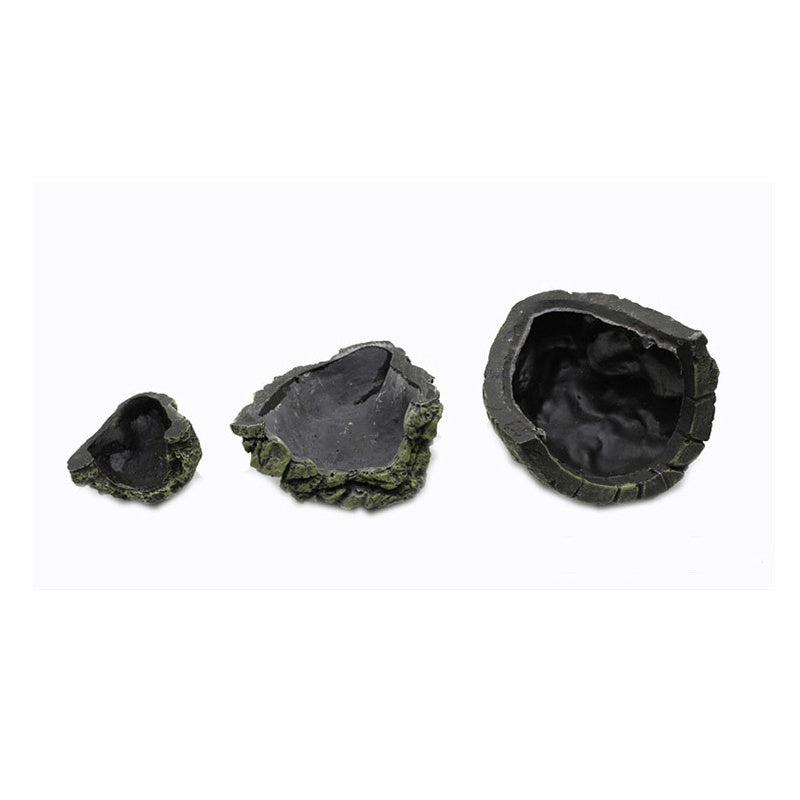 Reptile Cave