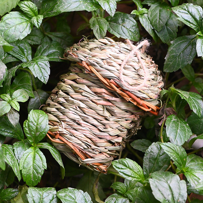 Hand-crafted  Bird Nest