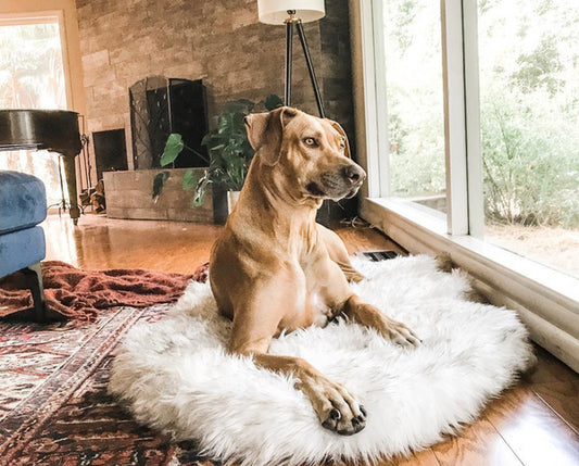 Faux  Fur Dog Bed
