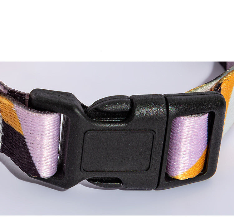 Vibrant Dog Collar and leash