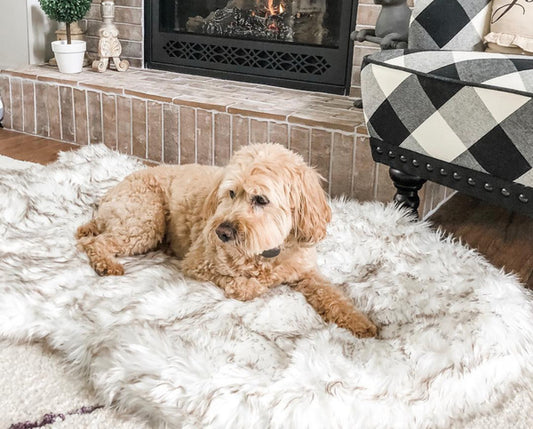 Faux  Fur Dog Bed