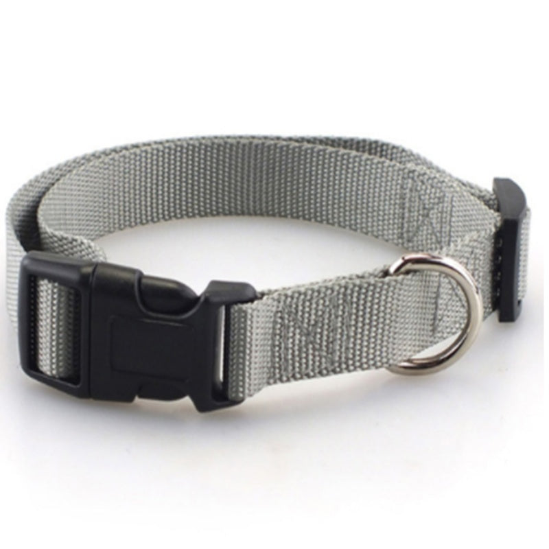 Plain Dog Collar