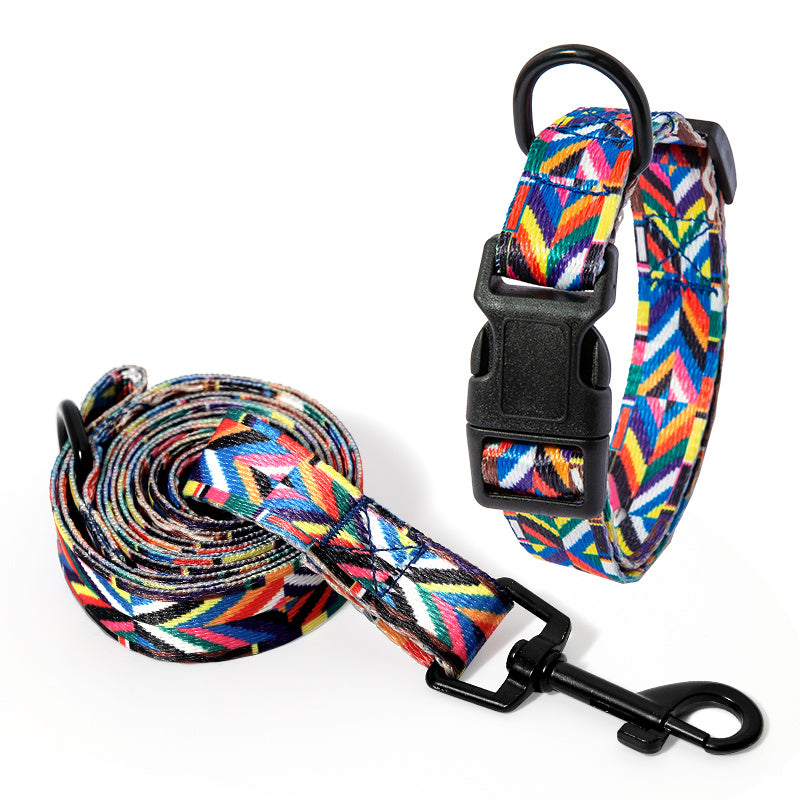 Vibrant Dog Collar and leash