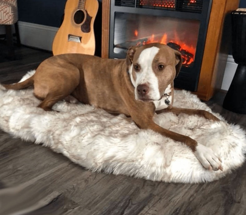 Faux  Fur Dog Bed