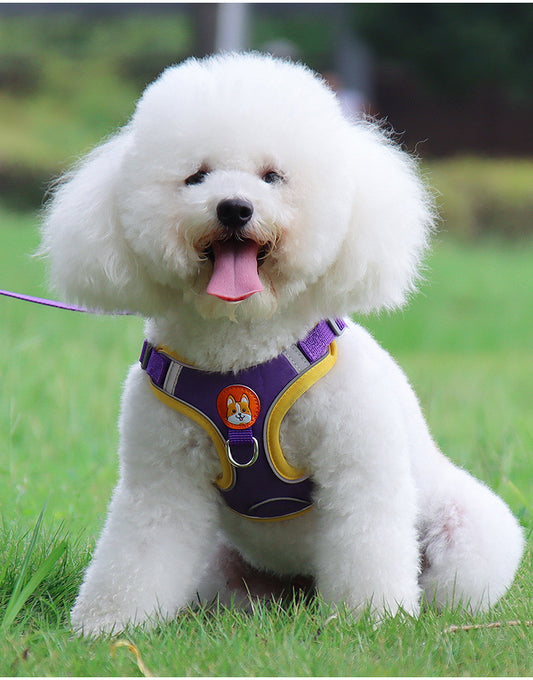 Small Dog /  Cat Harness and  Leash