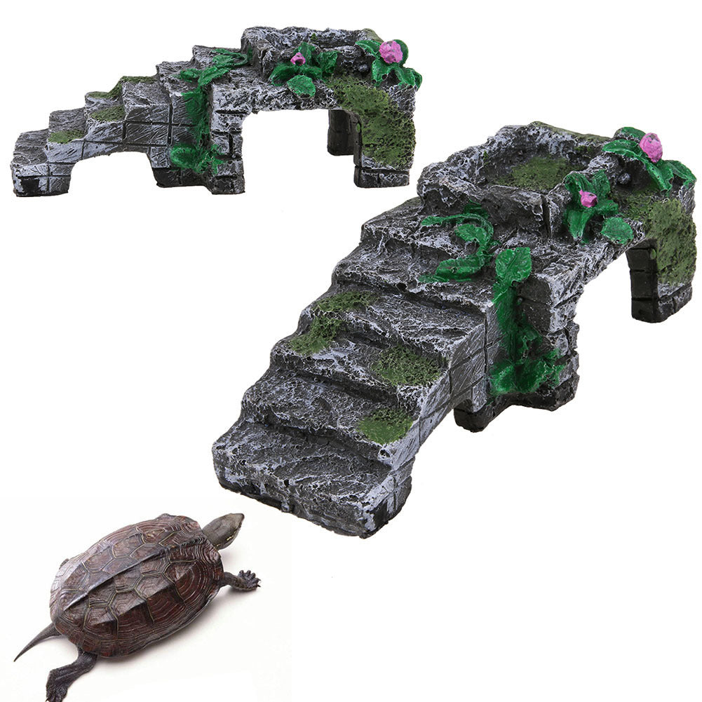 tortoise terrace climbing Stairs