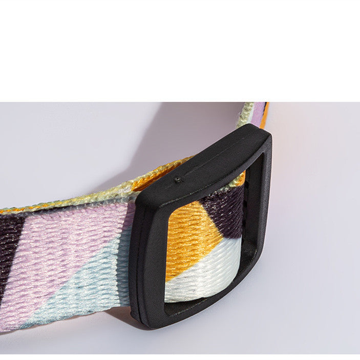 Vibrant Dog Collar and leash