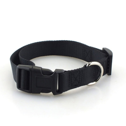 Plain Dog Collar