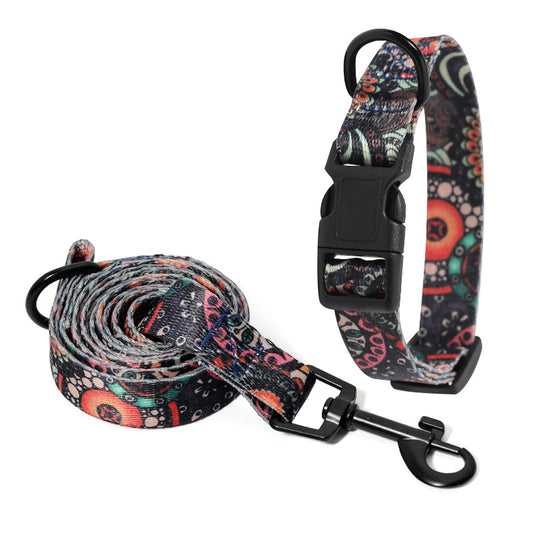 Vibrant Dog Collar and leash