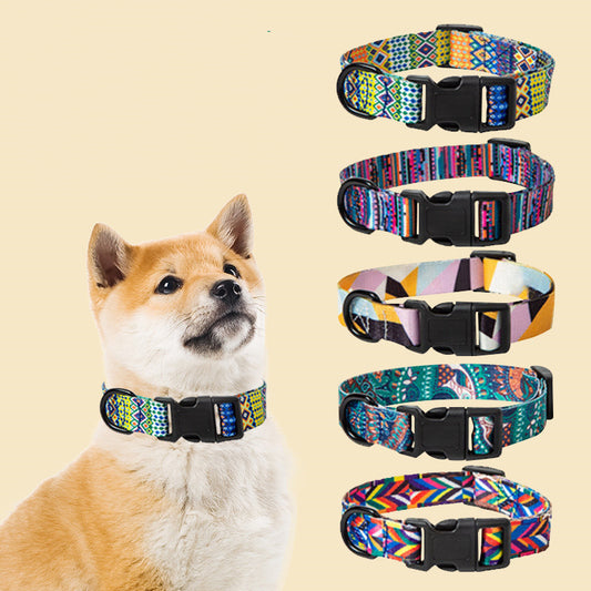 Vibrant Dog Collar and leash