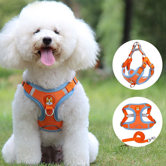 Small Dog /  Cat Harness and  Leash