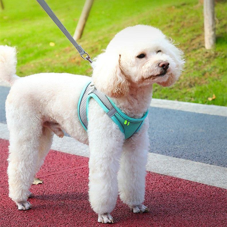 Reflective Dog  Harness and leash