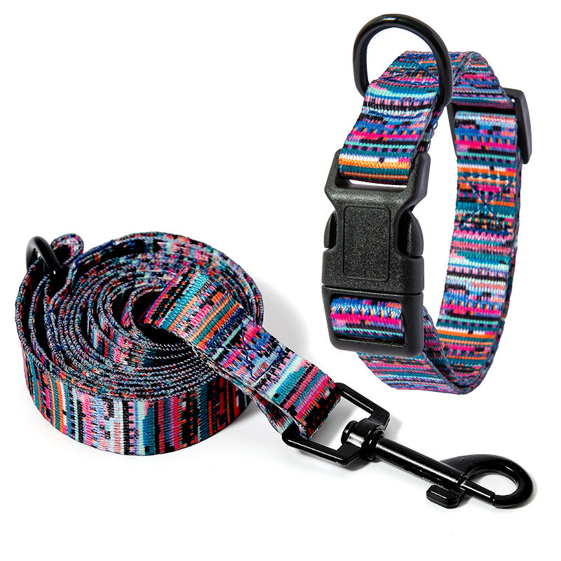 Vibrant Dog Collar and leash