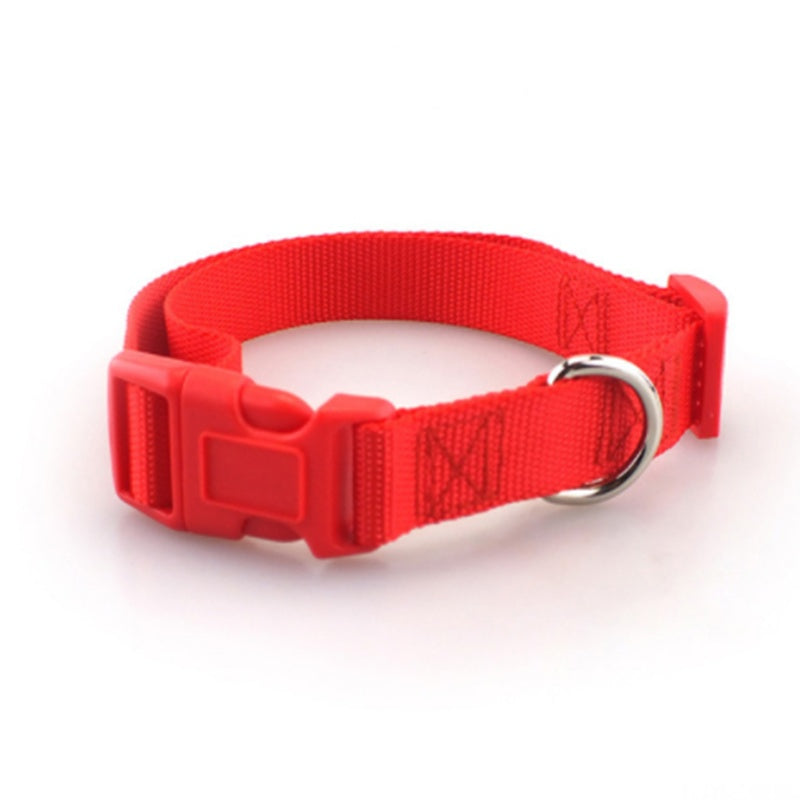 Plain Dog Collar