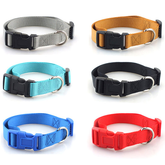 Plain Dog Collar