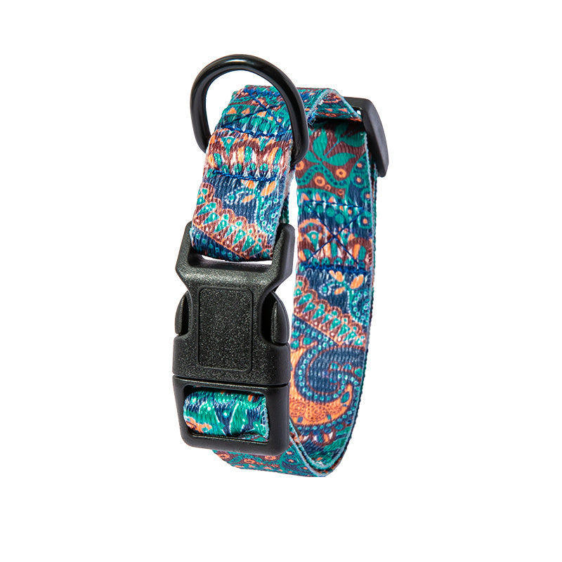 Vibrant Dog Collar and leash
