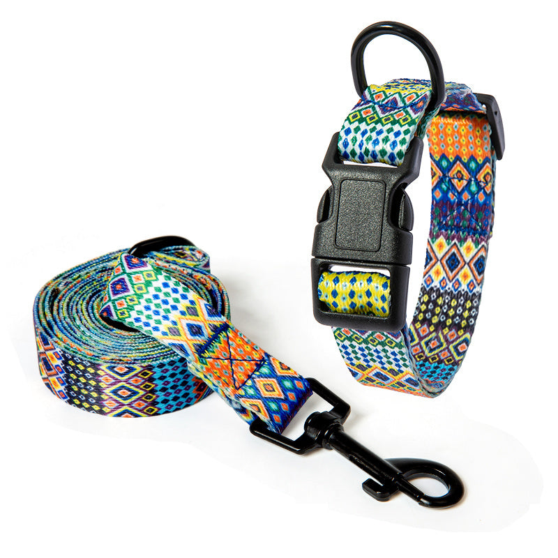 Vibrant Dog Collar and leash