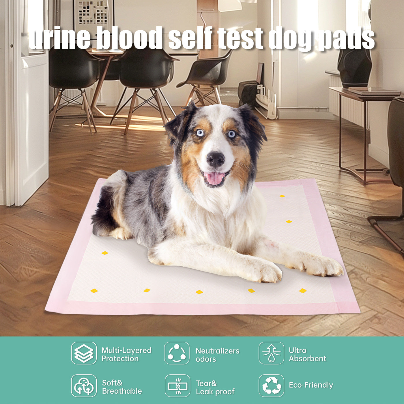 Dog  Urine Pad