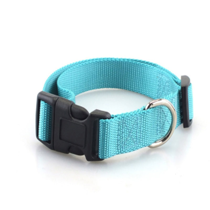 Plain Dog Collar