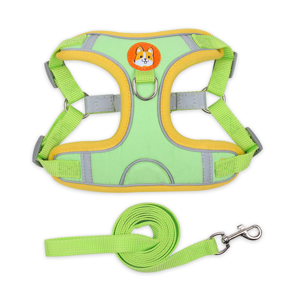 Small Dog /  Cat Harness and  Leash