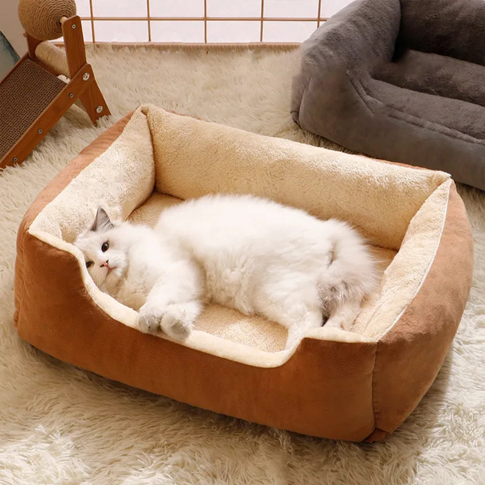 Cushioned Cat Bed